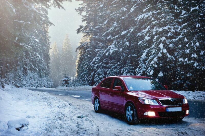 red sedan in the middle of forest