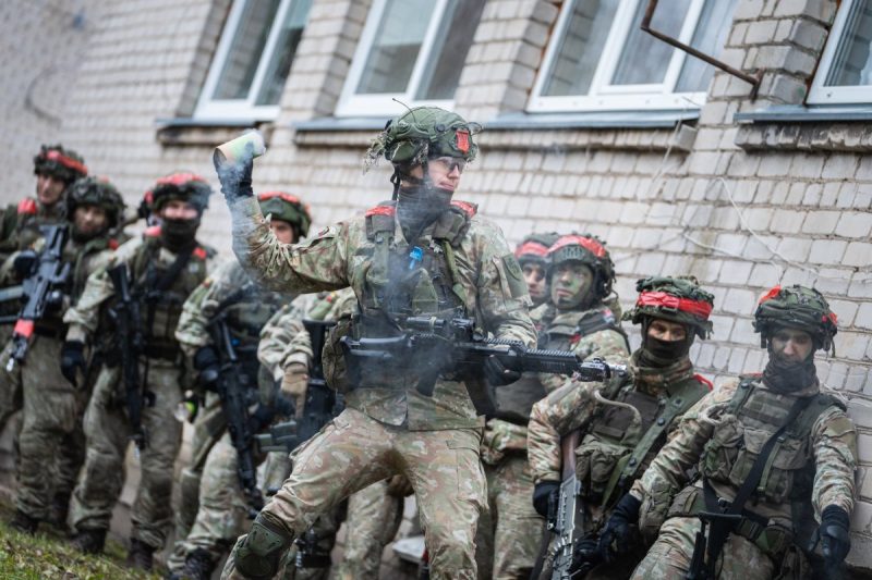 Lietuvos kariuomenė ramina gyventojus: karo šiandien nebus (2)
