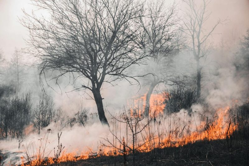 Ugniagesiai Kauno, Raseinių, Vilkaviškio, Jurbarko, Marijampolės rajonuose gesino degančias ražienas, žolę
