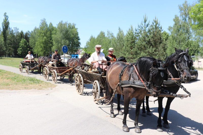 Balne – tūkstančius, su mediniais tekiniais – šimtus kilometrų