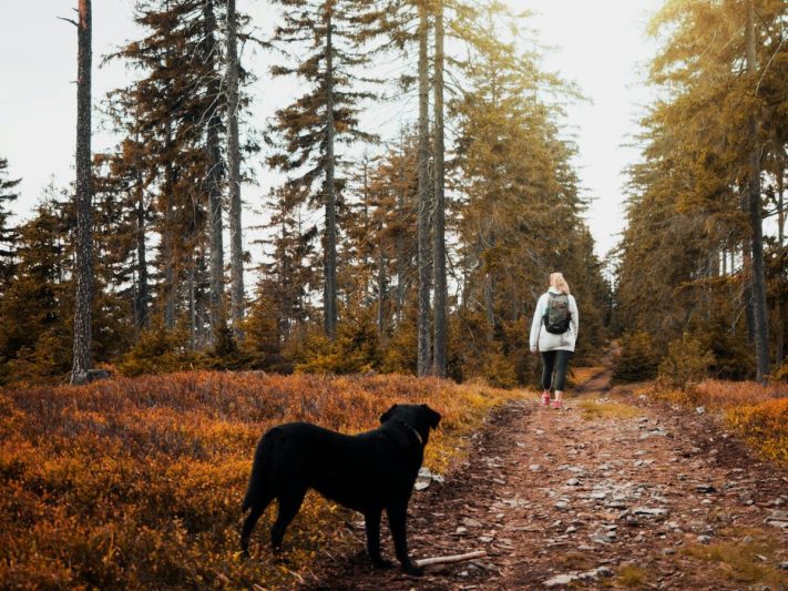 Orai: lietų pamiršime, artimiausiu metu šiluma dar lepins – sulauksime ir 27 laipsnių