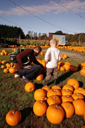 father and son picking pumpkins in fall