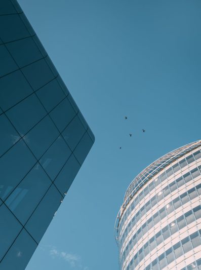 birds flying over buildings