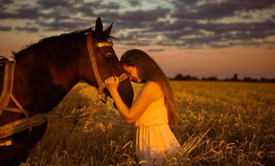 a woman in white dress holding brown horse