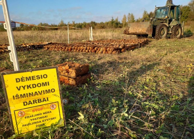 Išminuotojai pernai nukenksmino 8,6 tūkst. sprogmenų