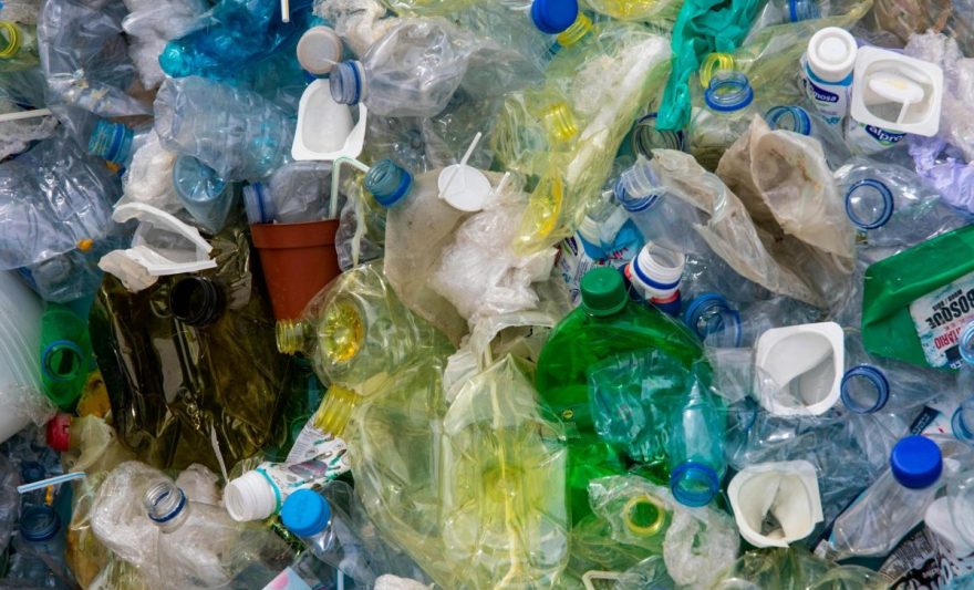 close up photo of plastic bottles