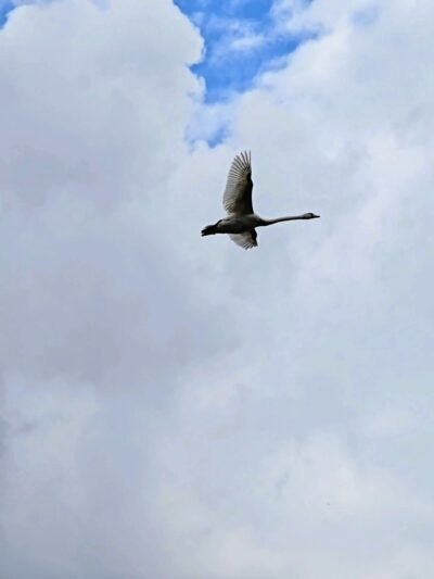 Antradienį orai dar primins rudenį, bet geresnių orų galima tikėtis jau trečiadienį