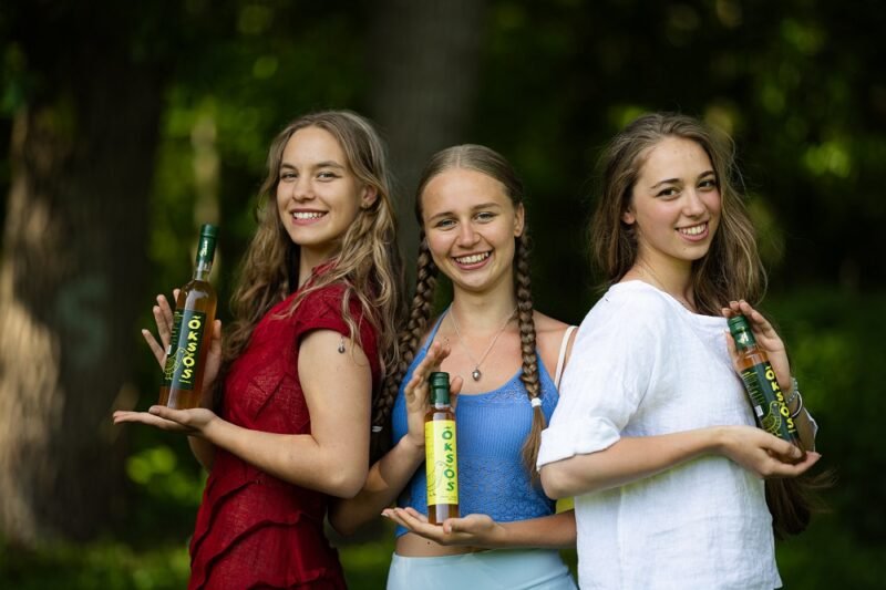 Obuolių acto nauda virškinimui, odai ir imunitetu