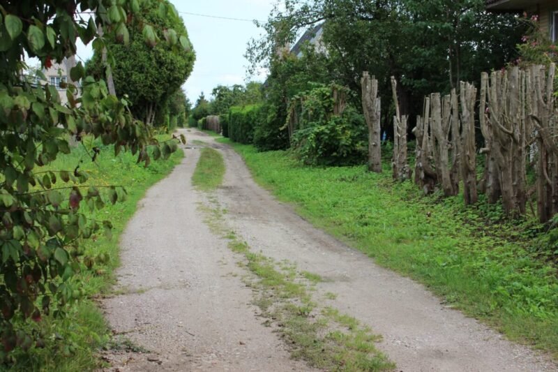 Sodininkų bendrijoms – viliojanti galimybė (1)