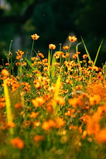 Sinoptikai žada – vasara tęsis ir savaitgalį