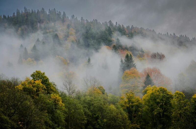 Rudens už lango dar nematyti: lepins ramūs ir šilti orai
