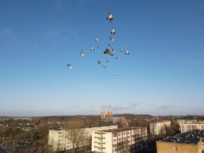 Orai: antroje savaitės pusėje atslinks dargana