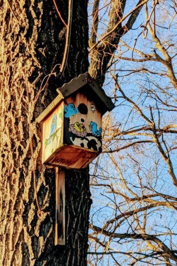 Miškininkas pataria: rudenį įrengtame inkile pavasarį greičiau prasidės naujas gyvybės ciklas 