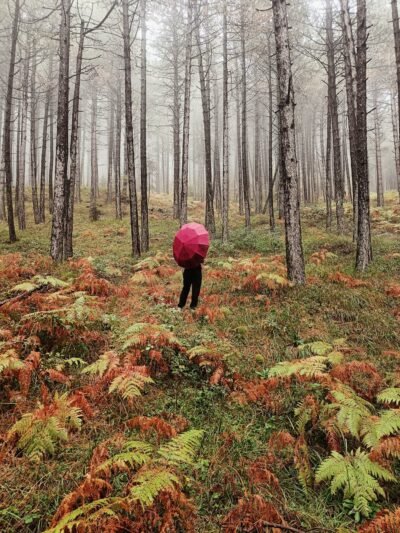 Pirmadienio horoskopas