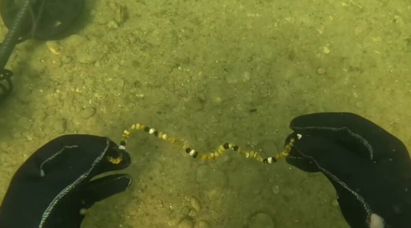 Naras išnaršė karjero maudymvietę – pažiūrėkite, ką rado (video) (1)