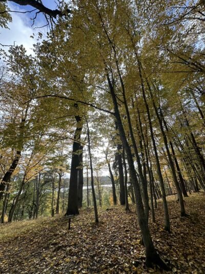 Kokie orai laukia savaitės pradžioje: džiugins saulė, vietomis šils iki 11 laipsnių