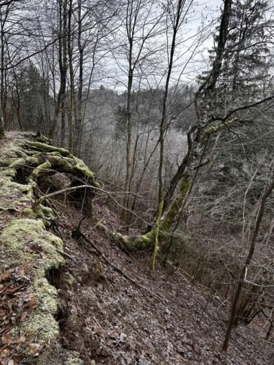 Sniegas vis dar išliks, reikės pasisaugoti plikledžio