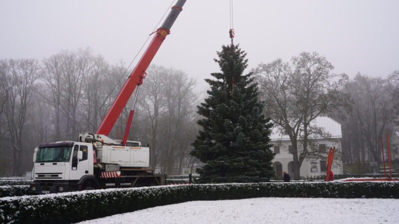 Į dvaro parką atkeliavo kalėdinė eglutė (nuotraukos) (4)