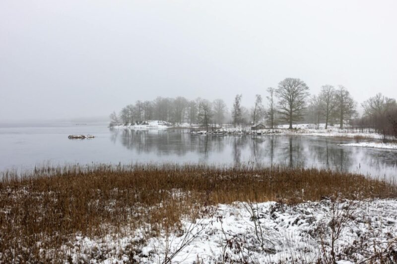 Gruodžio pradžia numatoma apniukusi, formuosis rūkas, kai kur ir plikledis