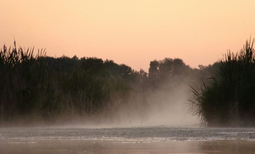 green grass against body of water under gray sky