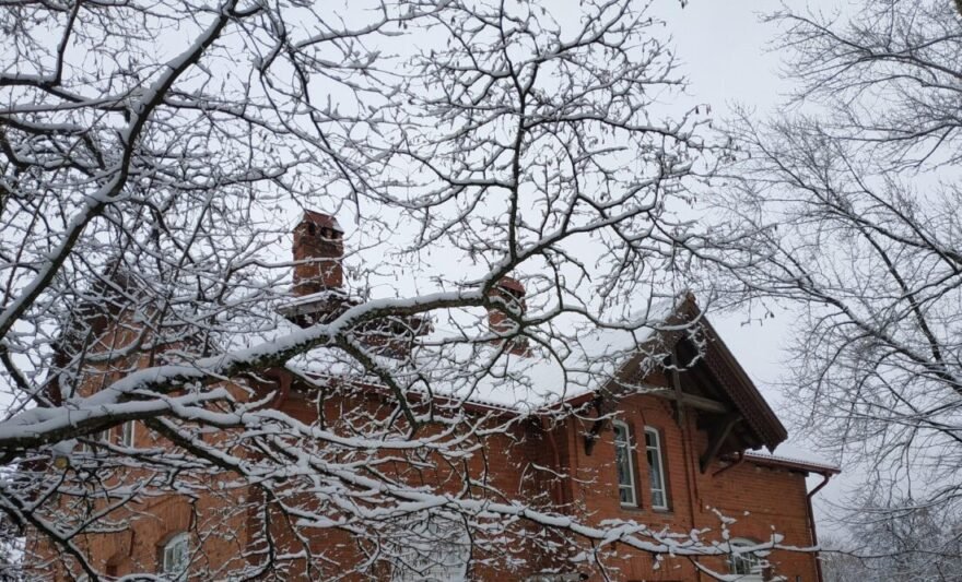 Nuo sausio 2 d. Vinco Grybo memorialinis muziejus, po 25-erių metų pertraukos, vėl tapo savarankiška biudžetine įstaiga. V. Grybo muziejaus nuotr.