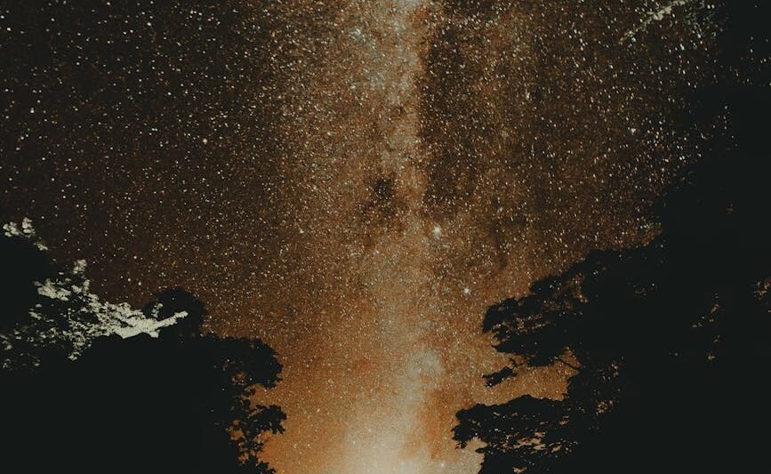 silhouette of trees under starry night