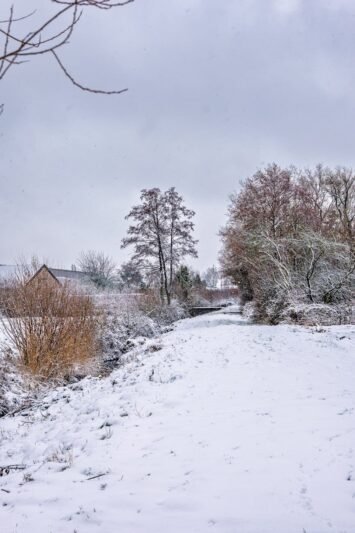 Naktį kai kur spustelėjo iki 22 laipsnių šalčio