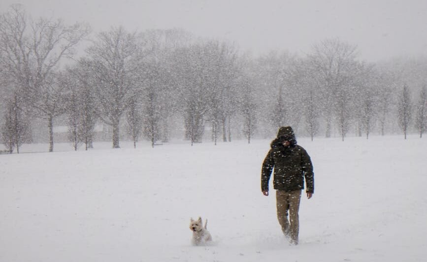 person wearing black jacket and pants walking on snow covered land with a dog