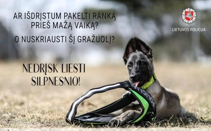 Dėl netinkamo elgesio su gyvūnu pradėta administracinio nusižengimo elgsena (2)