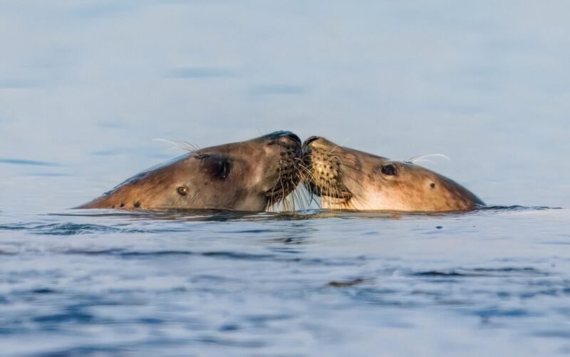 Pirmadienio horoskopas