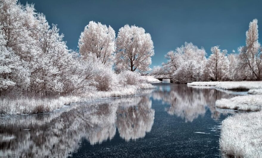 nature photography of river near trees