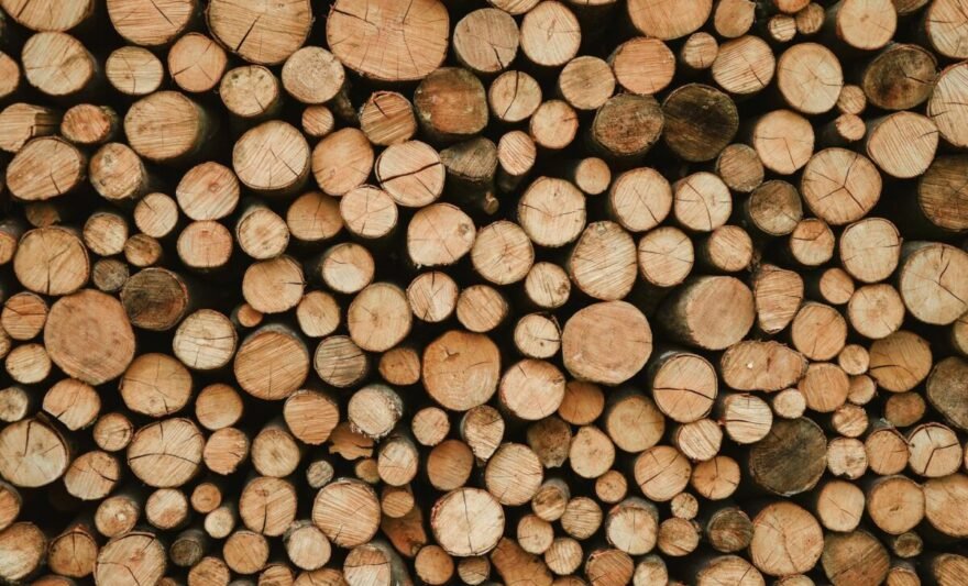 piled up wood logs