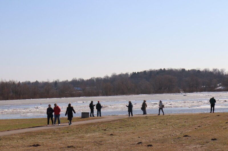 Jurbarkiečiai plūsta stebėti ledonešio (nuotraukos)