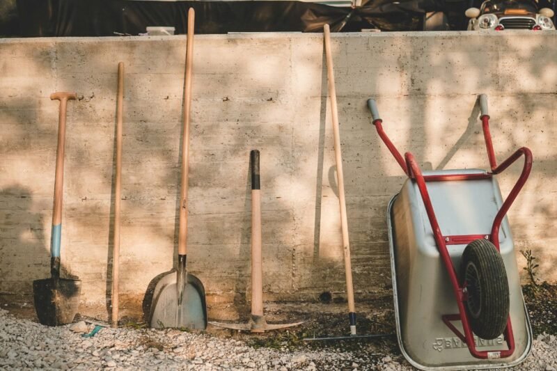 Sodo prekės: kada pirkti įrankius ir sėklas geriausia kaina?