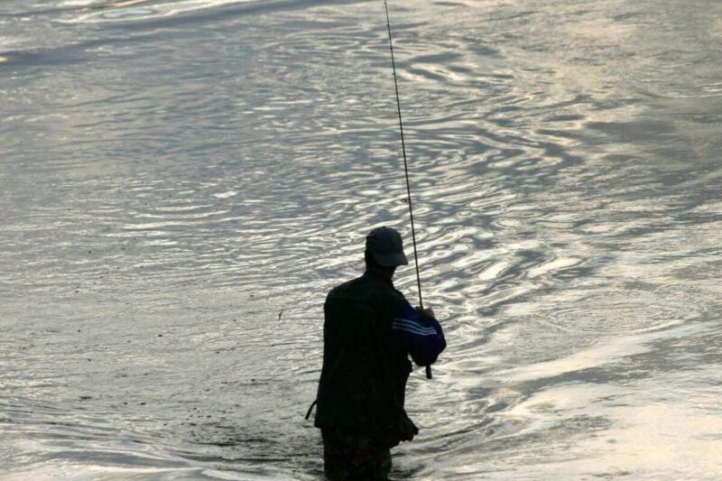 Nuo kovo 1 d. įsigalioja draudimas žvejoti kiršlius ir sterkus