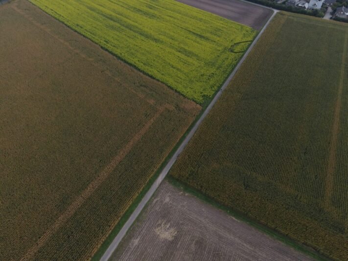 Žemės ūkio naudmenų deklaravimas 2026 m.: kas naujo?