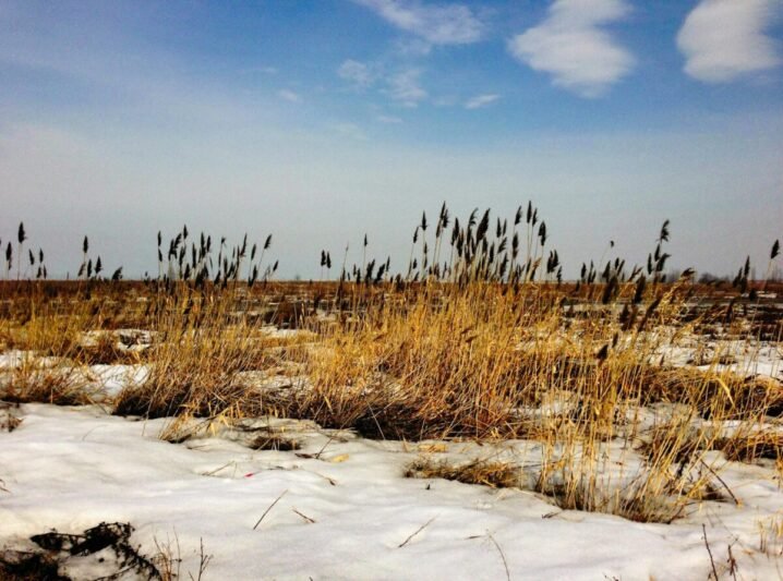 Maloniai pavasariški orai: pirmadienį temperatūra sieks 15 laipsnių