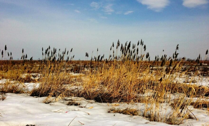 snow on a field and the sky above