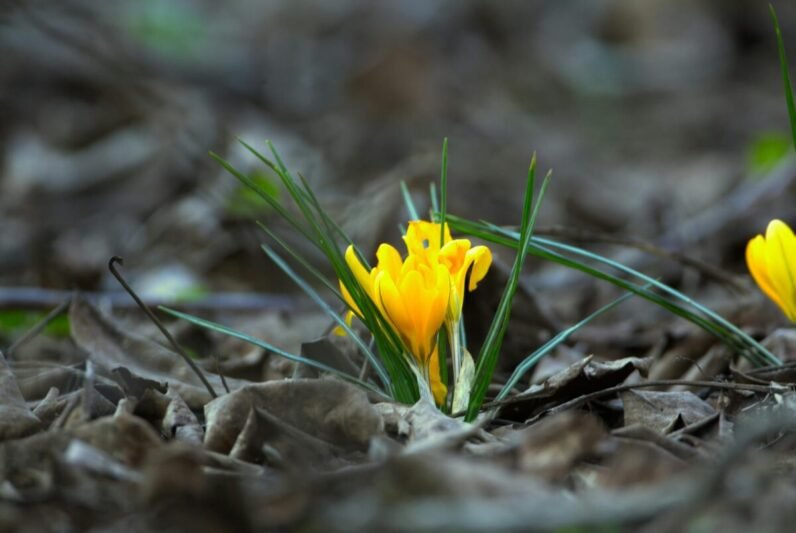 Orai: po lietingo savaitės vidurio džiugins saulėtas savaitgalis