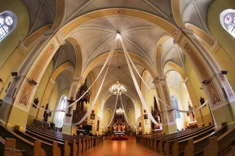 Fotografas kviečia pakelti akis į viršų