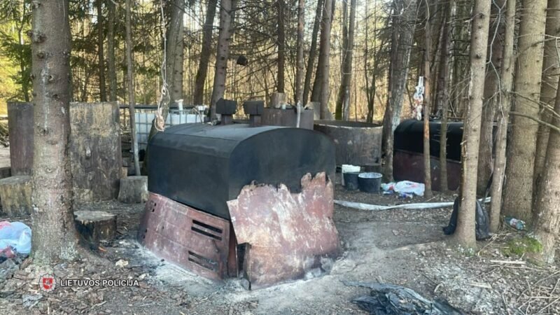 Miške – naminukės fabrikas, sodyboje – sandėlys (video, nuotraukos)