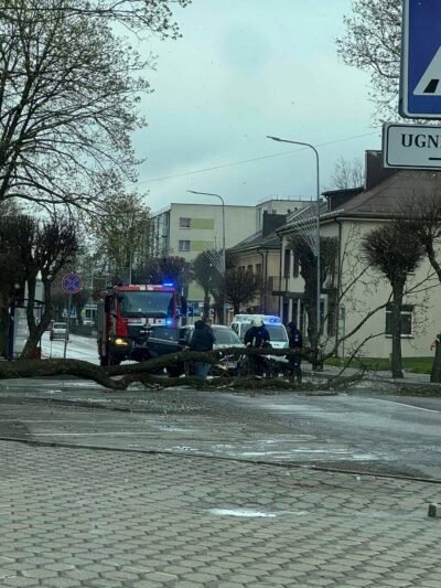 Sekmadienio vėtra guldė medžius (foto, video)