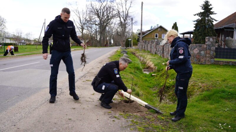 Smalininkai puoselėja ąžuolų legendą (nuotraukos)