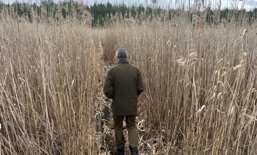 Stovyklavietę apžiūrėję miškininkai neabejoja - čia gaminant maistą galėtų kilti didelis gaisras.