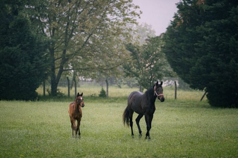 Balandžio 22 d. horoskopas