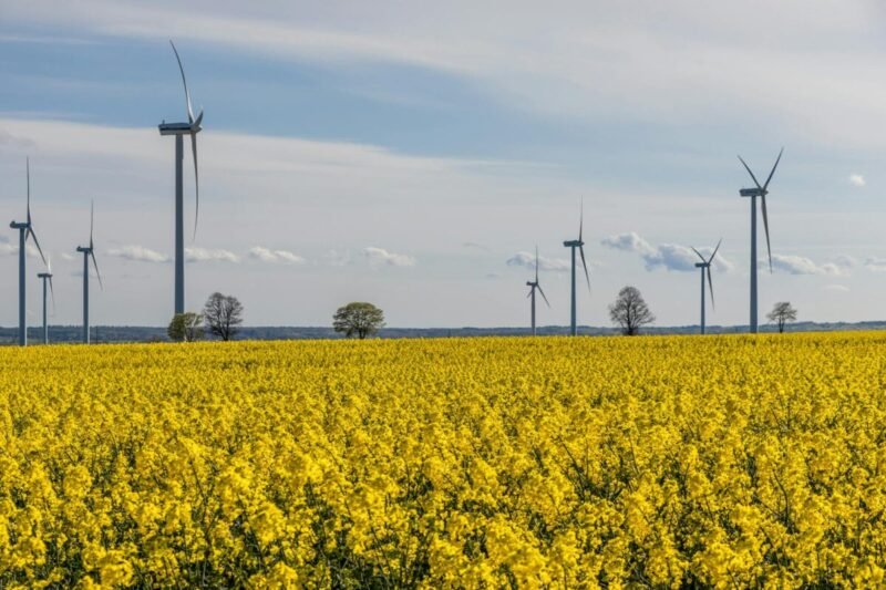 Orai: išliks smarkokas vėjas, kai kur trumpai palis, gali pasirodyti ir snaigių