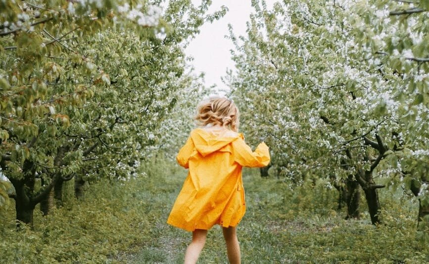 rear view of woman in yellow coat walking in orchard