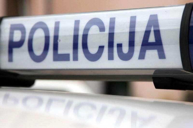 Vagis pjūklu ilgai nesidžiaugė