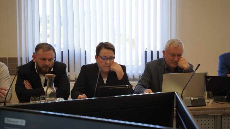 Nauja privatizavimo komisija – su grubiais pažeidimais
