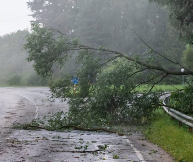 Atnaujinta informacija Jurbarko rajono gyventojams dėl audros padarinių